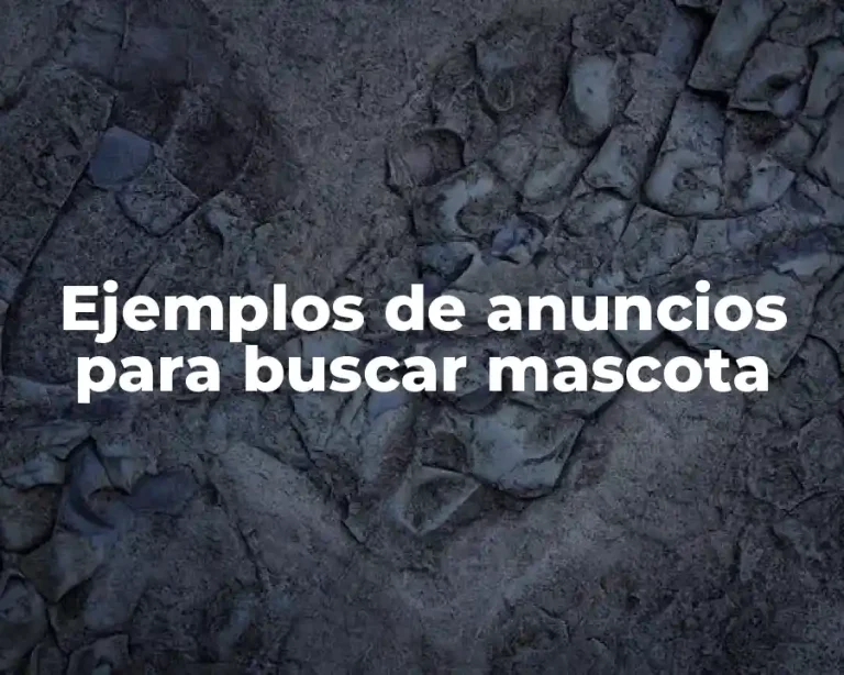 Ejemplos de anuncios para buscar mascota