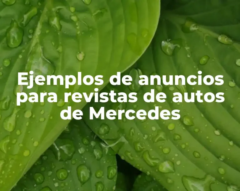 Ejemplos de anuncios para revistas de autos de Mercedes