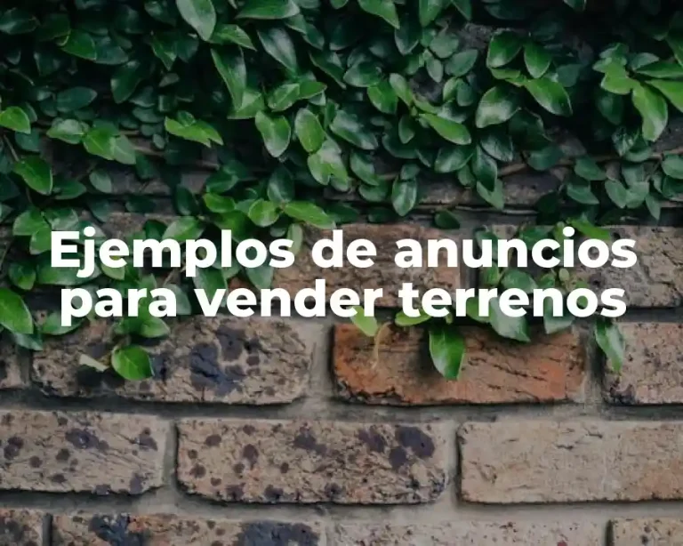 Ejemplos de anuncios para vender terrenos