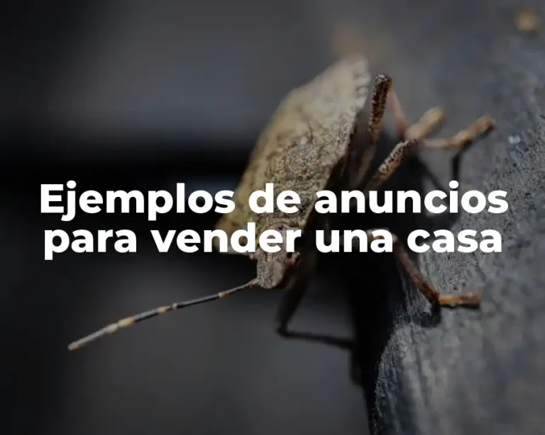 Ejemplos de anuncios para vender una casa