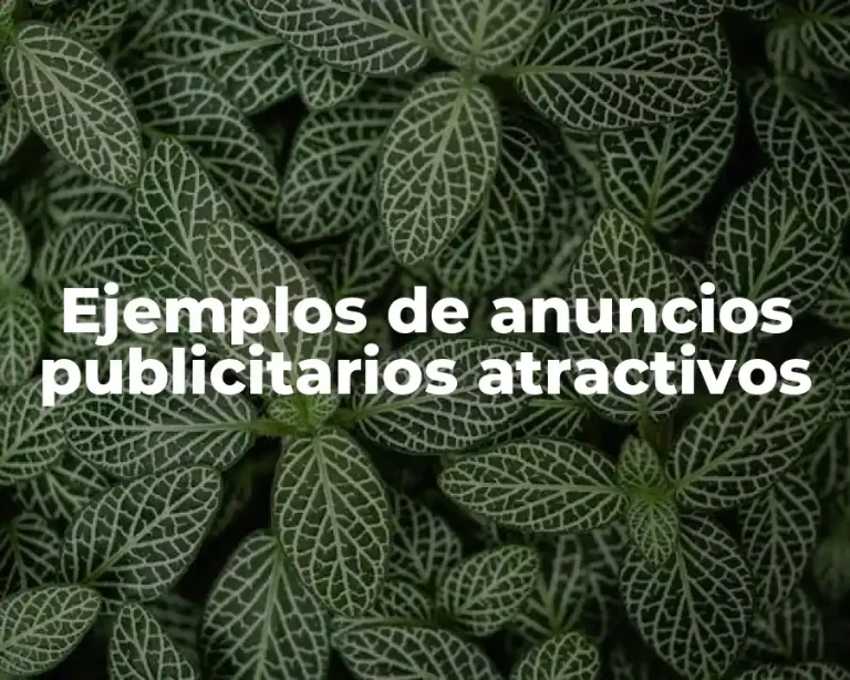 Ejemplos de anuncios publicitarios atractivos