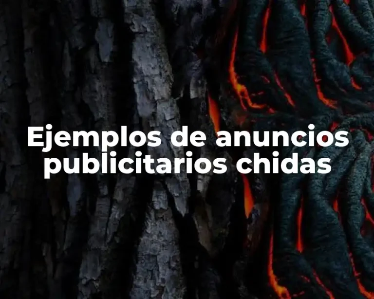 Ejemplos de anuncios publicitarios chidas