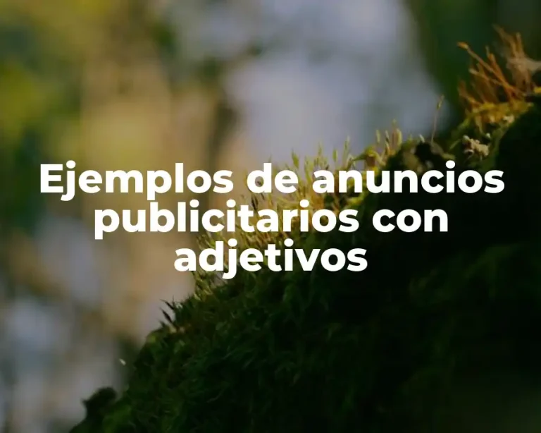 Ejemplos de anuncios publicitarios con adjetivos