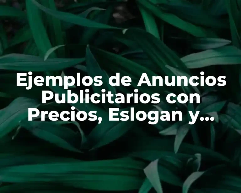 Ejemplos de Anuncios Publicitarios con Precios, Eslogan y Descripción y Significado