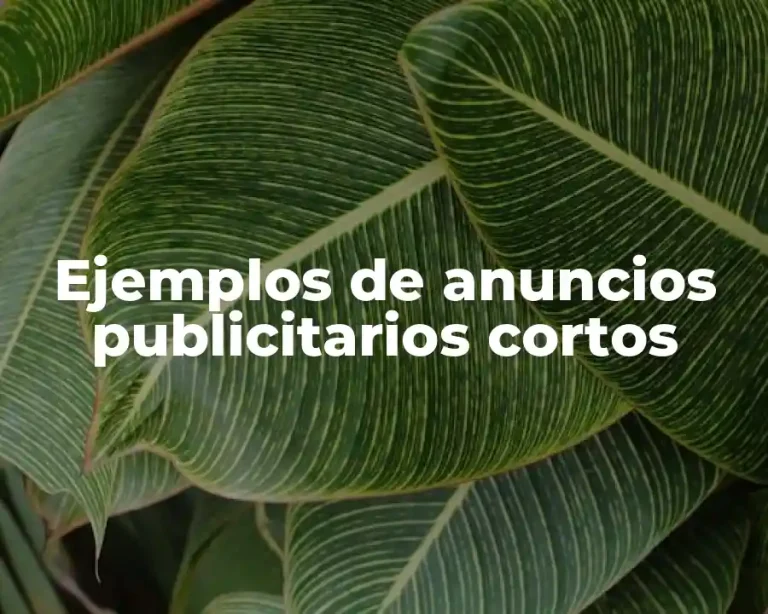 Ejemplos de anuncios publicitarios cortos