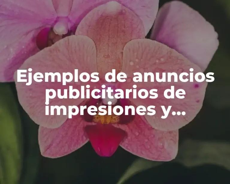 Ejemplos de anuncios publicitarios de impresiones y Significado