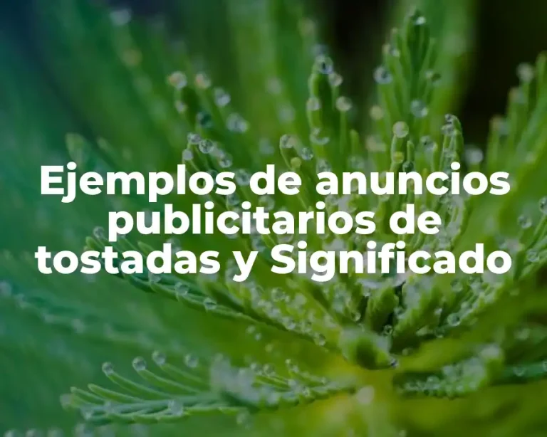 Ejemplos de anuncios publicitarios de tostadas y Significado