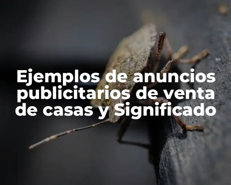 Ejemplos de anuncios publicitarios de venta de casas y Significado