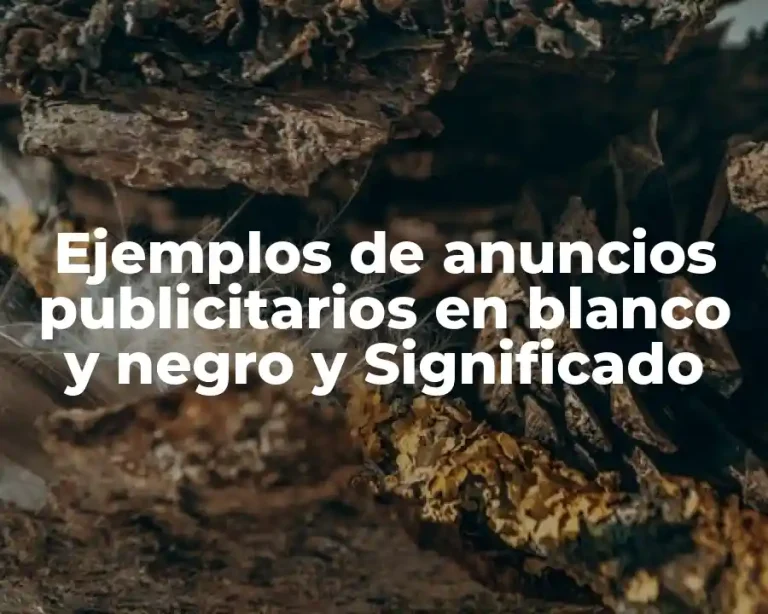 Ejemplos de anuncios publicitarios en blanco y negro y Significado