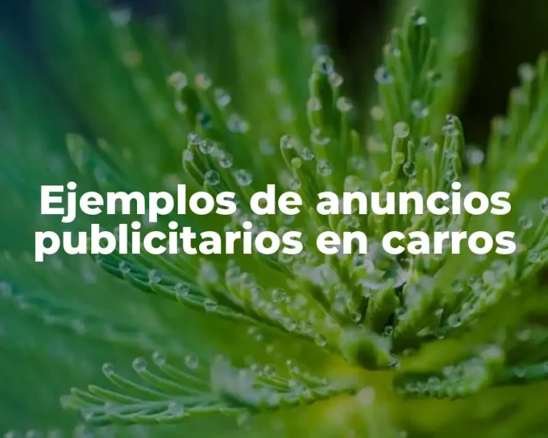 Ejemplos de anuncios publicitarios en carros