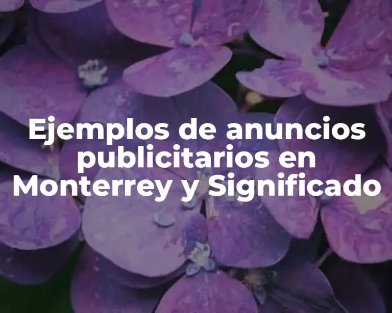 Ejemplos de anuncios publicitarios en Monterrey y Significado