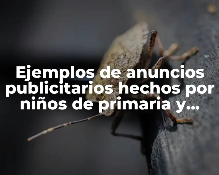 Ejemplos de anuncios publicitarios hechos por niños de primaria y Significado