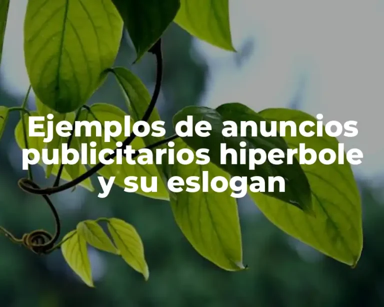 Ejemplos de anuncios publicitarios hiperbole y su eslogan