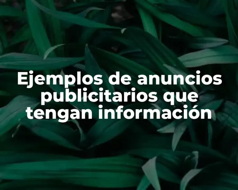 Ejemplos de anuncios publicitarios que tengan información