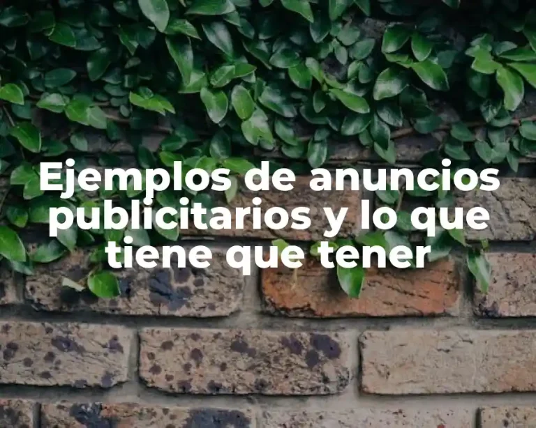 Ejemplos de anuncios publicitarios y lo que tiene que tener