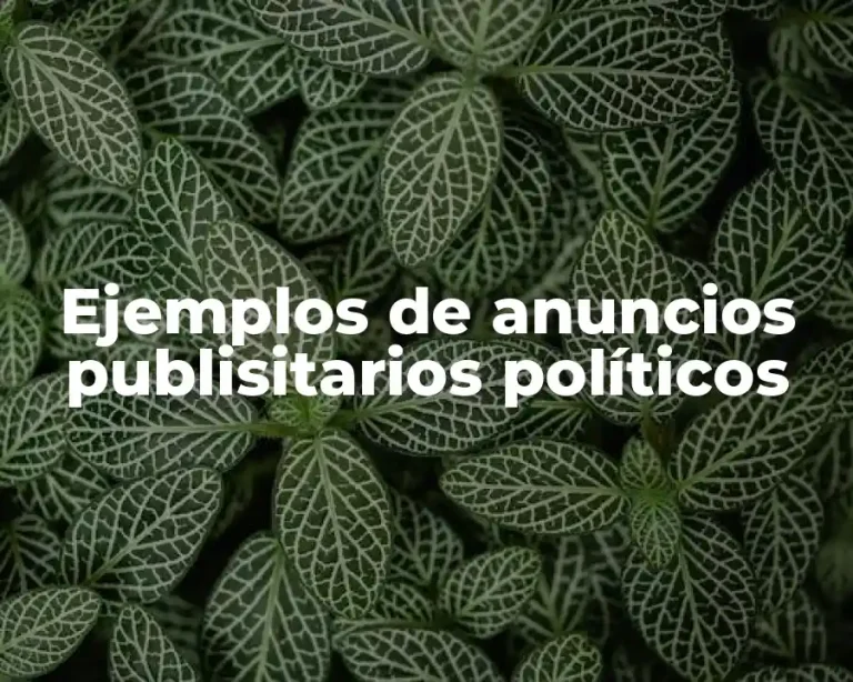 Ejemplos de anuncios publisitarios políticos