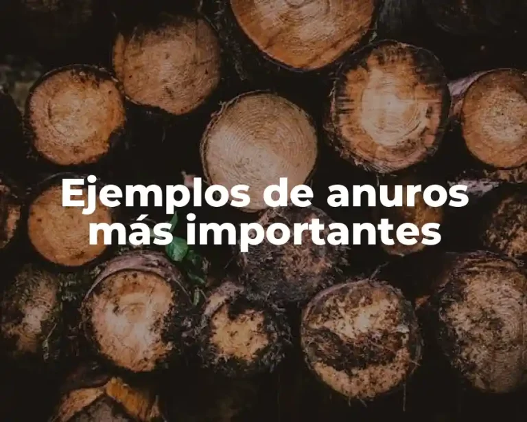 Ejemplos de anuros más importantes