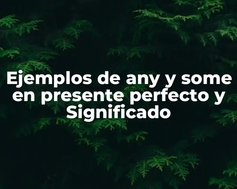 Ejemplos de any y some en presente perfecto y Significado