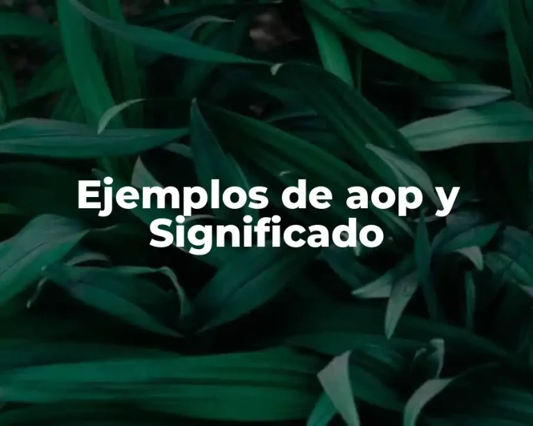 Ejemplos de aop y Significado