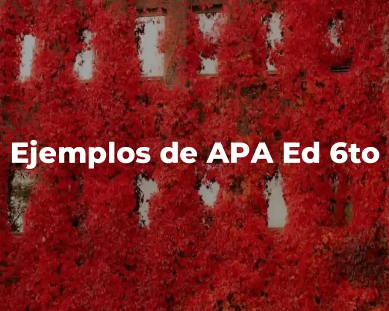 Ejemplos de APA Ed 6to