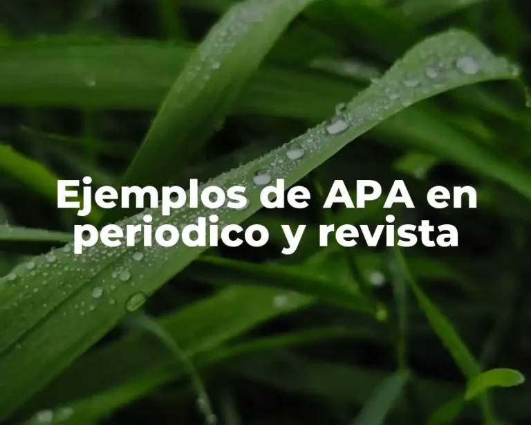 Ejemplos de APA en periodico y revista