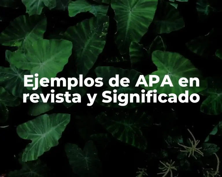 Ejemplos de APA en revista y Significado