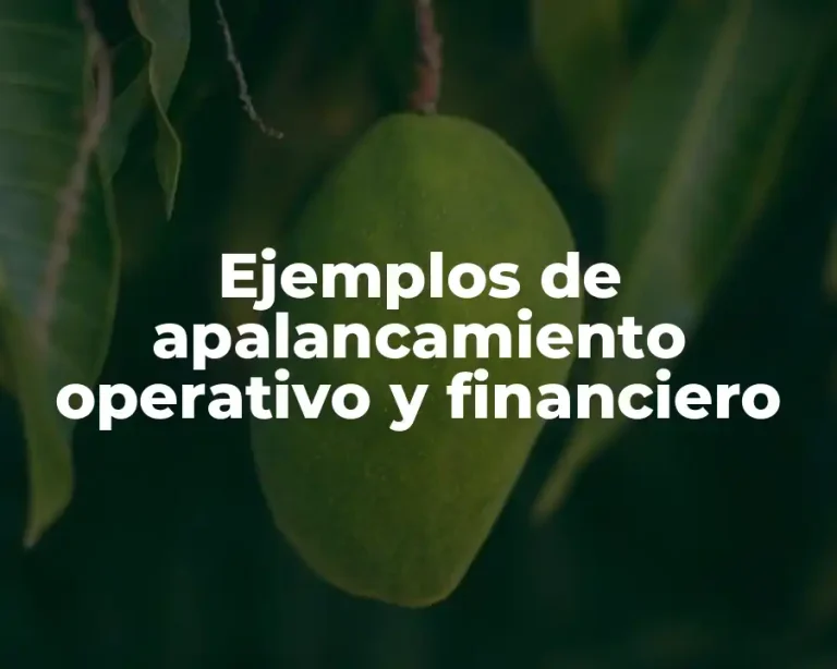 Ejemplos de apalancamiento operativo y financiero