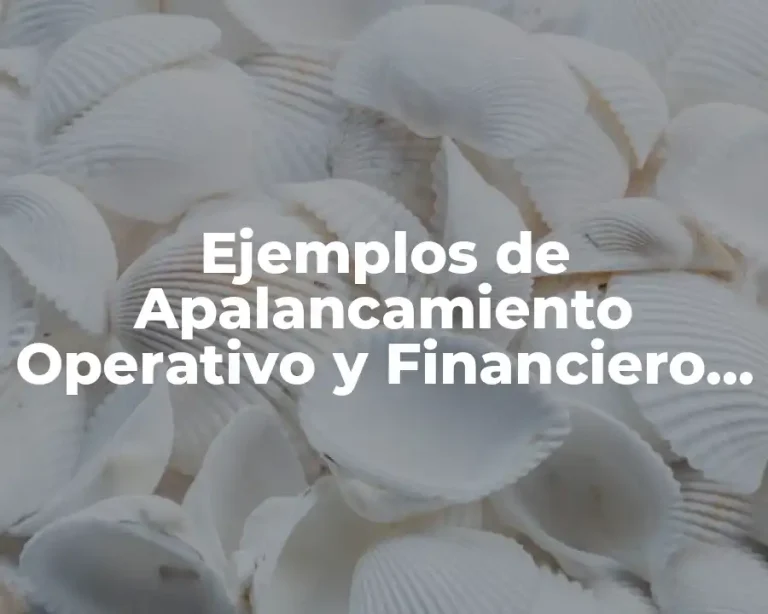 Ejemplos de Apalancamiento Operativo y Financiero en Excel