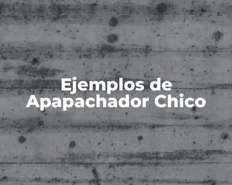 Ejemplos de Apapachador Chico