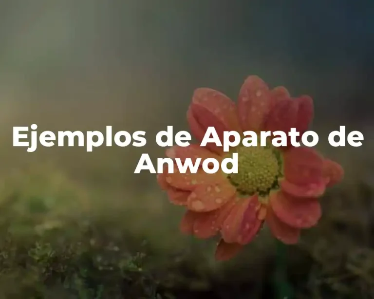 Ejemplos de Aparato de Anwod