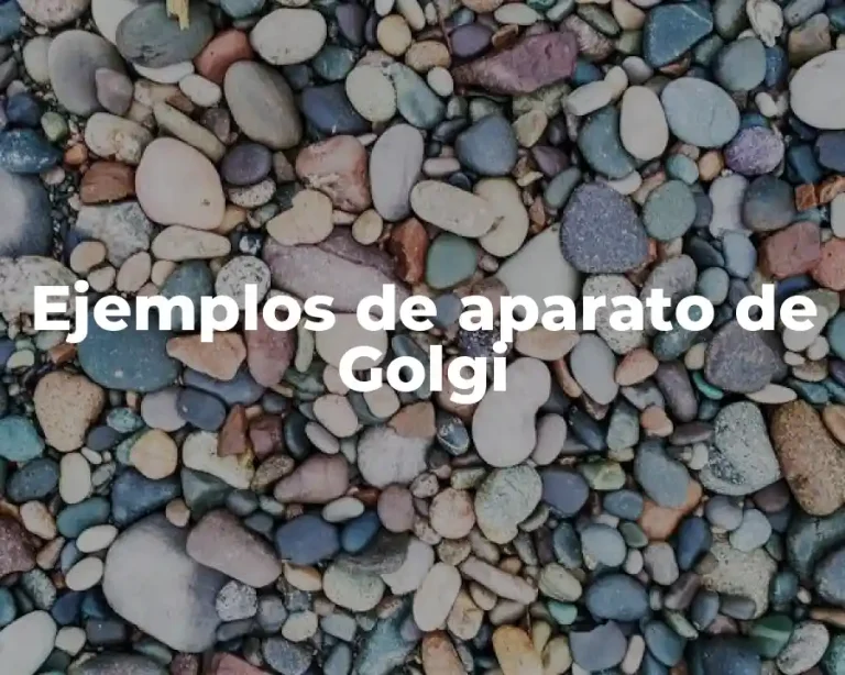 Ejemplos de aparato de Golgi