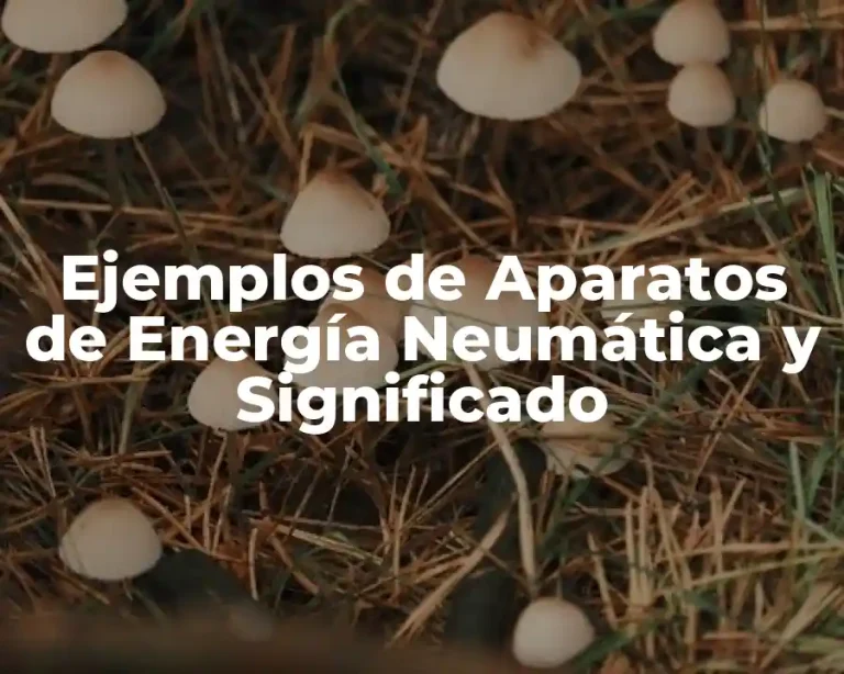 Ejemplos de Aparatos de Energía Neumática y Significado