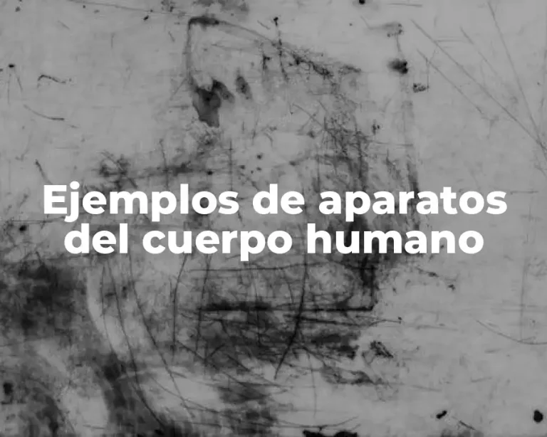 Ejemplos de aparatos del cuerpo humano