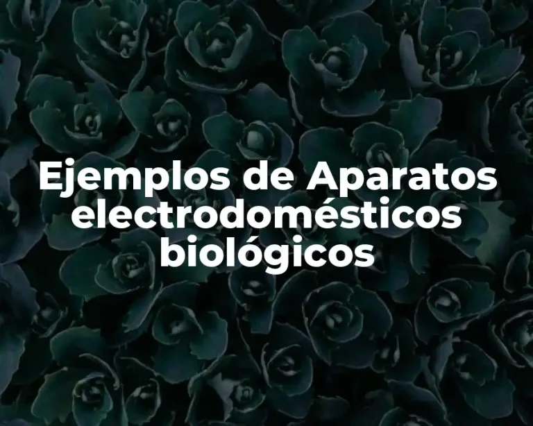 Ejemplos de Aparatos electrodomésticos biológicos