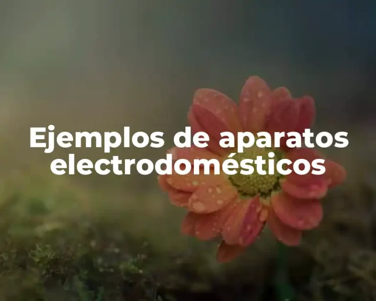 Ejemplos de aparatos electrodomésticos