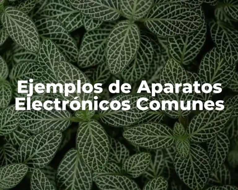 Ejemplos de Aparatos Electrónicos Comunes