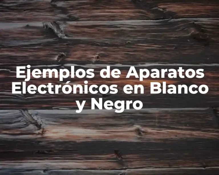 Ejemplos de Aparatos Electrónicos en Blanco y Negro
