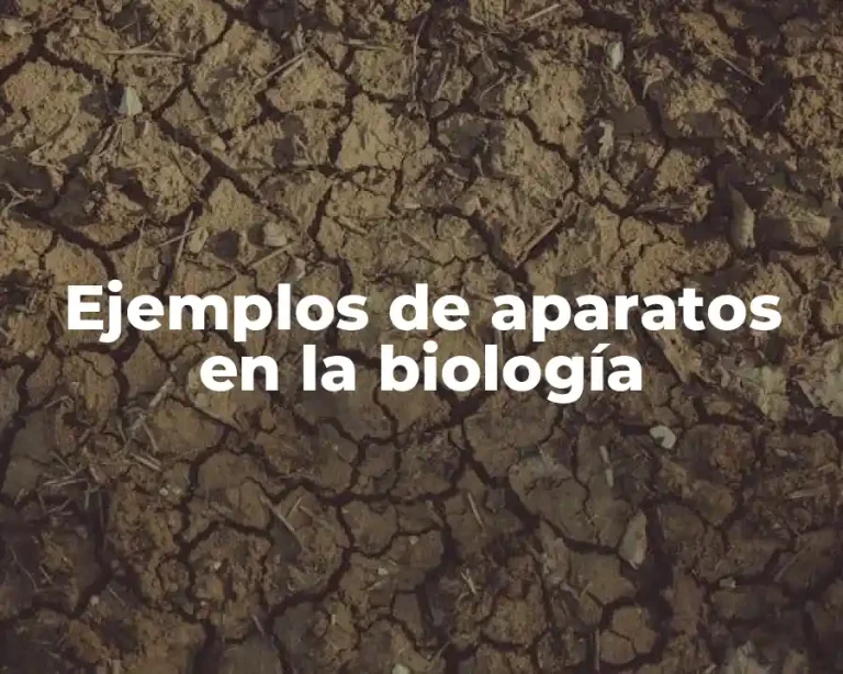 Ejemplos de aparatos en la biología
