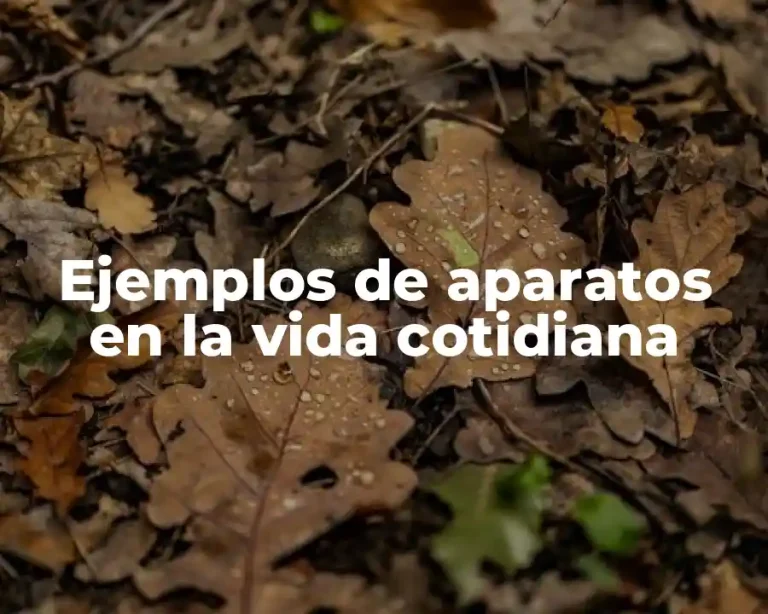 Ejemplos de aparatos en la vida cotidiana
