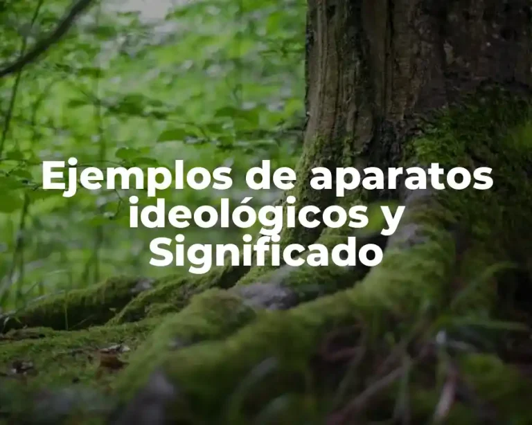 Ejemplos de aparatos ideológicos y Significado