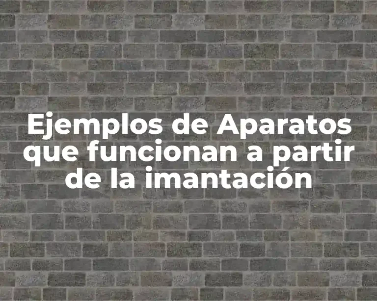 Ejemplos de Aparatos que funcionan a partir de la imantación