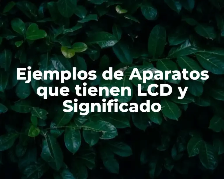 Ejemplos de Aparatos que tienen LCD y Significado