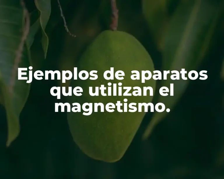 Ejemplos de aparatos que utilizan el magnetismo.