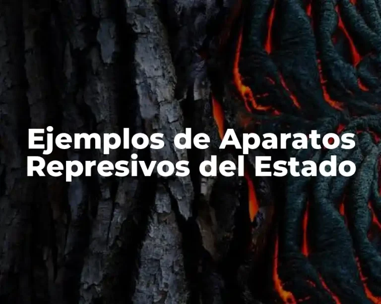 Ejemplos de Aparatos Represivos del Estado