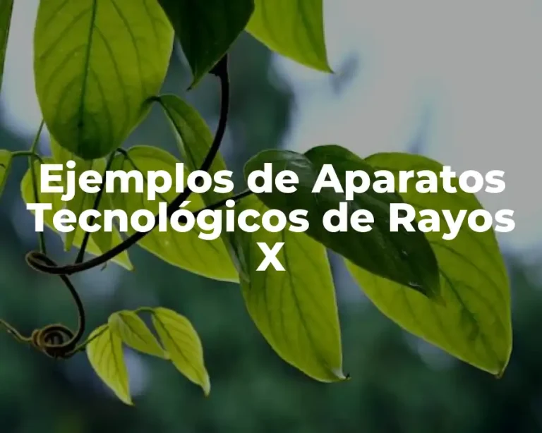 Ejemplos de Aparatos Tecnológicos de Rayos X