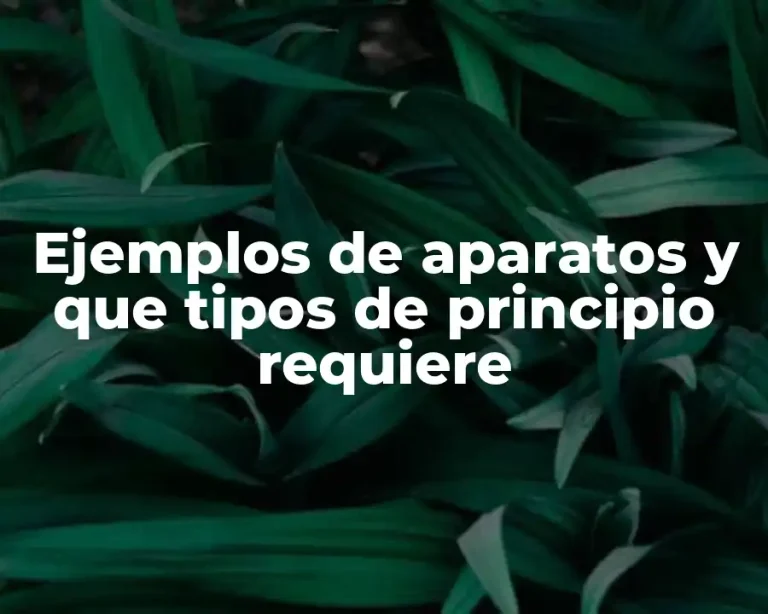 Ejemplos de aparatos y que tipos de principio requiere
