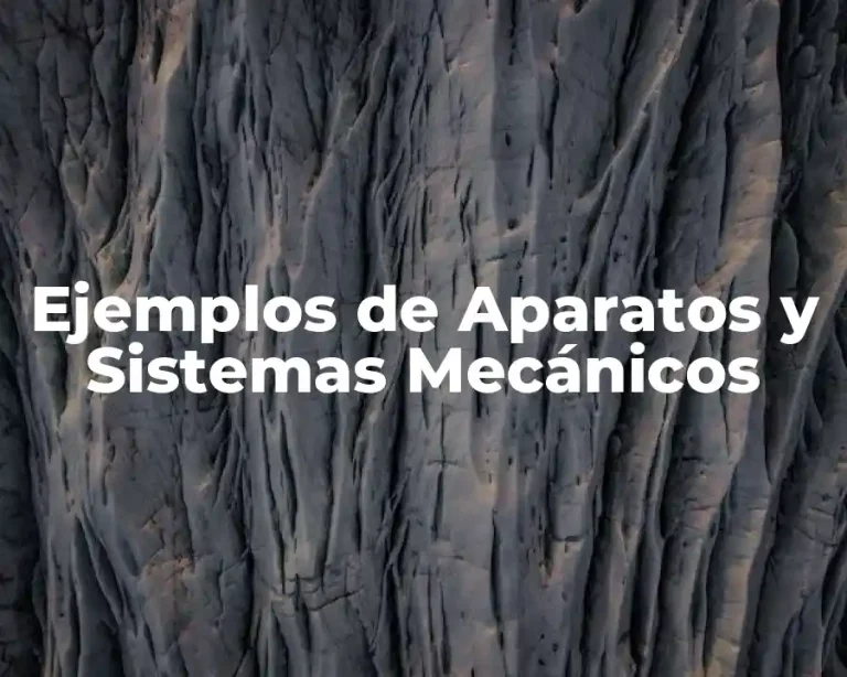 Ejemplos de Aparatos y Sistemas Mecánicos