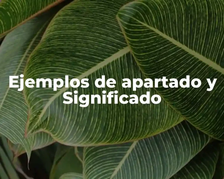 Ejemplos de apartado y Significado