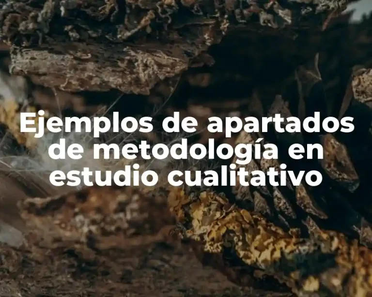 Ejemplos de apartados de metodología en estudio cualitativo