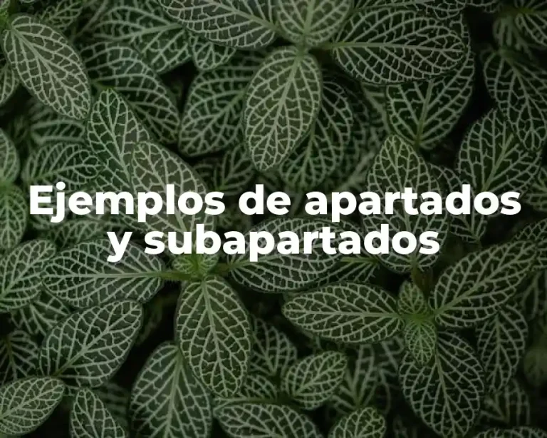 Ejemplos de apartados y subapartados